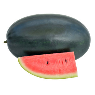 Navkiran Watermelon From Known You Seed (India)-KYI